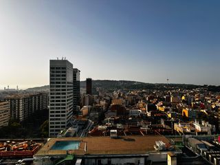 IMG_8874-medium.JPG