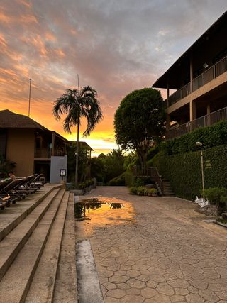 IMG_2920-medium.JPG